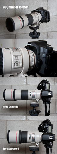 canon is 300mm usm f4 acratech rrs 50d canonef300mmf4lisusm gv2 b50dl