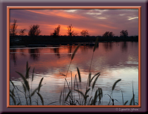 november sunset sky lake reflection water pond nebraska grandisland vogonpoetry eaglescoutpark 11252008