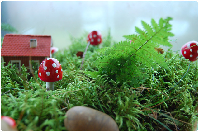 Welcome in Mushroom Land! - by iHanna, Copyright Hanna Andersson