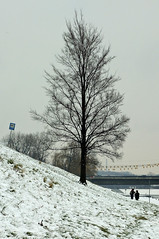 Vistula River Snow 1