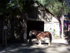 Livery Stables