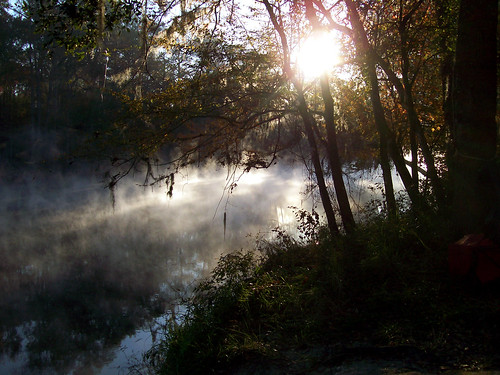 camping mist nature water fog sunrise outdoors flora springs freshwater ginniesprings