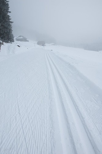 schnee winter snow fog weihnachten geotagged schweiz switzerland nebel crosscountry langlauf loipe sarnen obwalden langis peekm