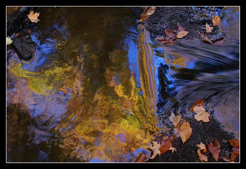 reflection fall gatineaupark fineartphotos waterbendslight
