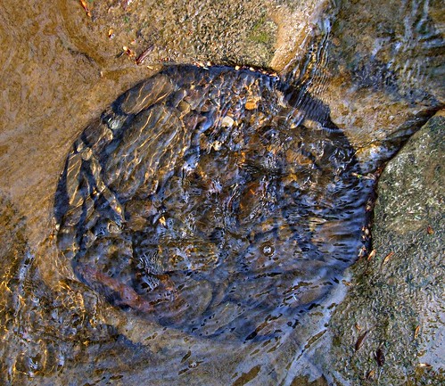 ohio water interestingness rocks searchthebest cleveland explore kirtland holdenarboretum roundandround stebbinsgulch treehugger007