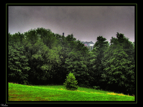 trees cloud tree green water field rain clouds dark grey village country gray poland polska heavy hdr