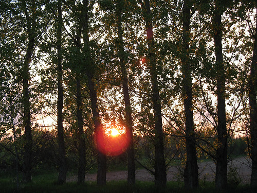 sunset canada canon evening twilight country poplars smithsfalls