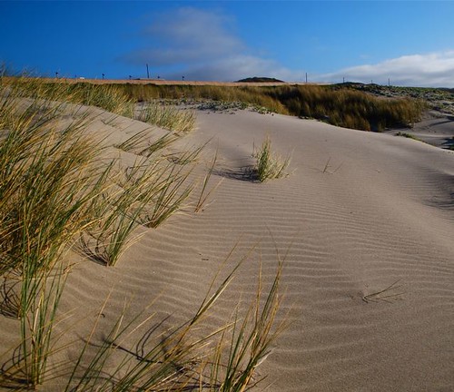 california blue sunset sky beach grass coast sand wind ripple