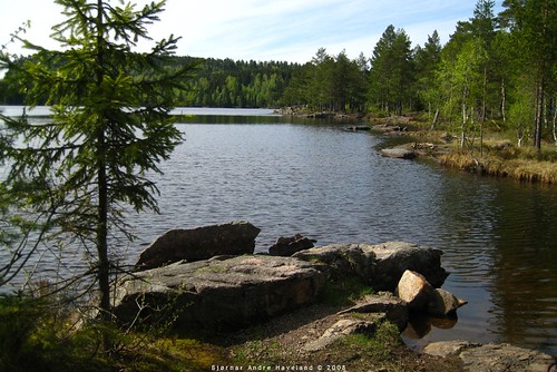 summer lake water forest scenery img1122 merkedammen ixus70