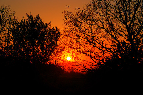 trees sunset england d50 nikon loveit worcestershire 2007 clent aplusphoto