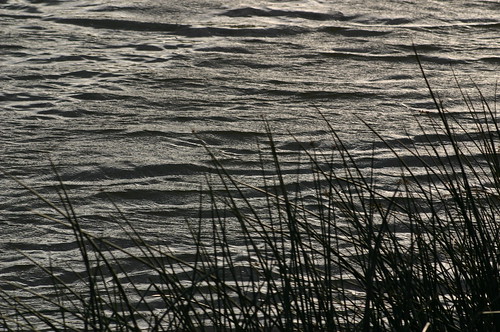 sunset water landscapes delta
