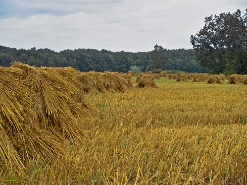 summer usa landscape farm haystack oh hay sullivan