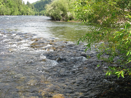 water river rocks ripples