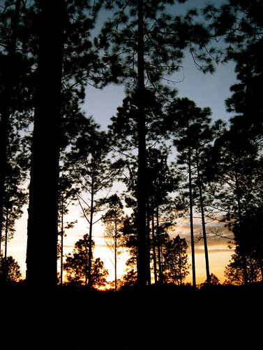 family sunset georgia farm recovery jsclarkfamilytemp