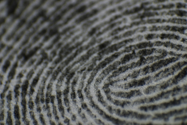 Macro Fingerprint
