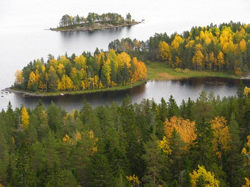 park trees lake fall nature beauty suomi finland landscape view scenic lookout national koli pielinen