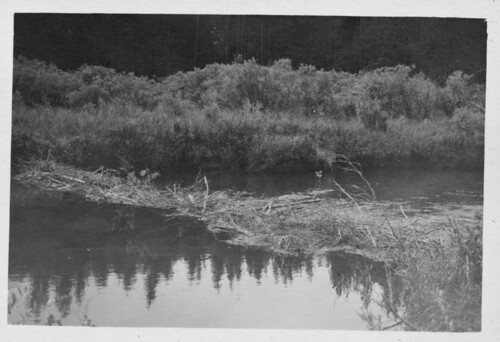 river geotagged colorado scanned archives oldphotographs oldpictures everything oldphotos beaverdam dcl anything vintagephotos notdone flickritis norules archivists historicandoldphotos anythingeverything thebiggestgroup anythingandeverything 1millionphotos 10millionphotos scannedphotographs themostphotos tenmillionphotos thewholecaboodle fadedphotographs douglascountylibraries 19101919 5millionphotos historicimage douglascountyhistoryresearchcenter archivesonflickr onemillionphotos dchrc archivesandarchivists geotaggedcolorado guywatsonsmith smithfamilycollection allyoulike 100000000flickrphotos fivemillionphotos