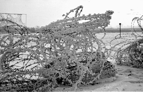 Snow on barbed wire 02