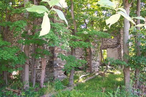 abandoned ruin orangecountyny coldenmansion coldenhamny