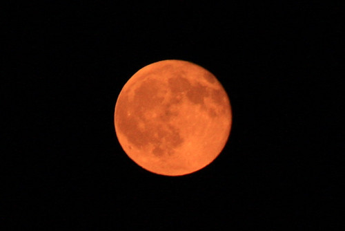 trees shadow red sky orange moon silhouette night clouds sunrise fire dawn