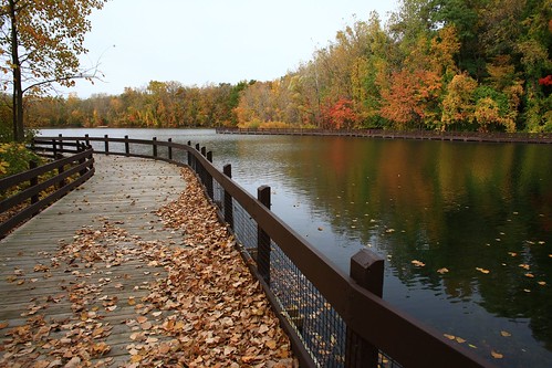 trees lake color fall water leaves michigan lansing overcast boardwalk railing canoneos5d hawkislandcountypark inghancountyparks canon24f14lusm