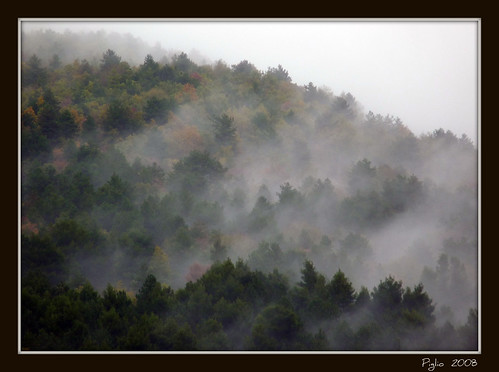 autumn fog geotagged lumix nebbia autunno bosco frosinone ciociaria mywinners panasonoc impressedbeauty piglio roberto1956 goldstaraward fz28 dmcfz28 geo:lat=4183027588450522 geo:lon=131241540700794 robertoagostini