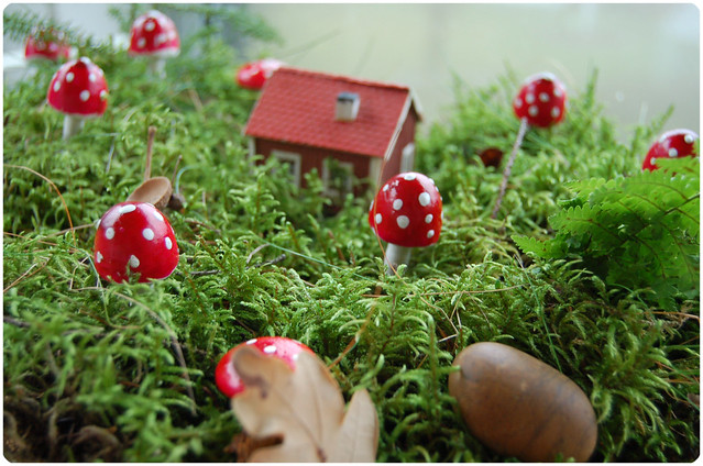 Mushroom Land by iHanna