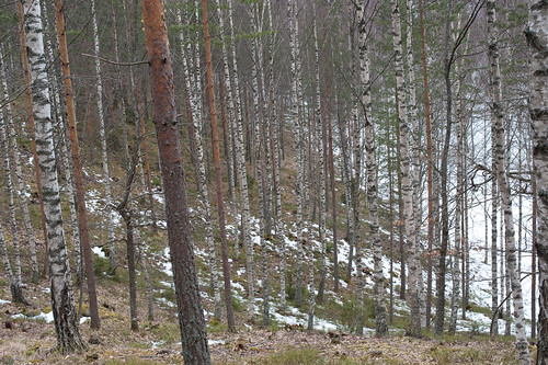 finland valkeakoski 2009 sääksmäki rapola