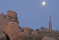Księżyc (i saguaro oczywiście) w The Boulders. Carefree, Arizona