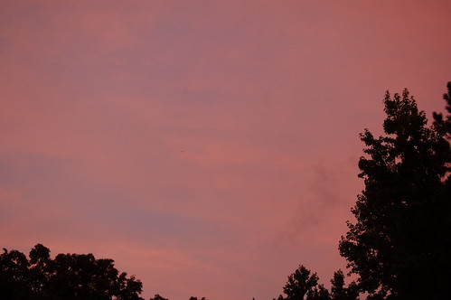 pink trees sky orange color beautiful clouds georgia dallas colorful heaven purple god heavenly sunsetsky canvassky
