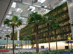 Changi airport-01