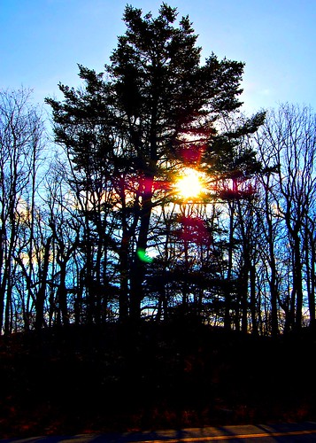 trees sunrise picnik mtpenn