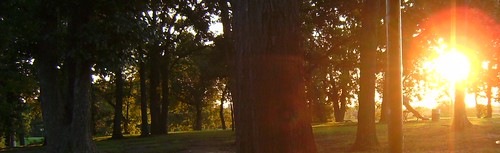 park city trees sunset durant citypark sunsettrees durantok carlalbertpark