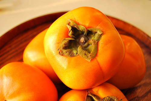 japanese persimmon / 柿 kaki