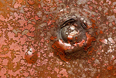 Details of peeling paint and rust on the abandoned train coach