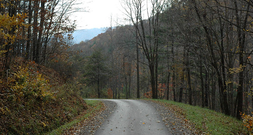 statepark road autumn brown mountains green fall leaves yellow nikon d70 westvirginia twisty bluestone nimitz pipestem summerscounty surveyorbranch
