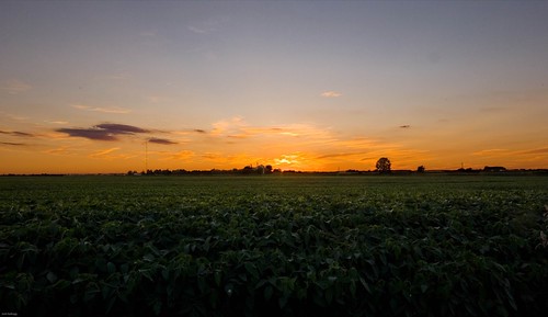 blue sunset sky orange cloud nature field silhouette illinois nikon farm soybean kellogg naturephotography d80