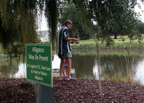 papa and alligator sign
