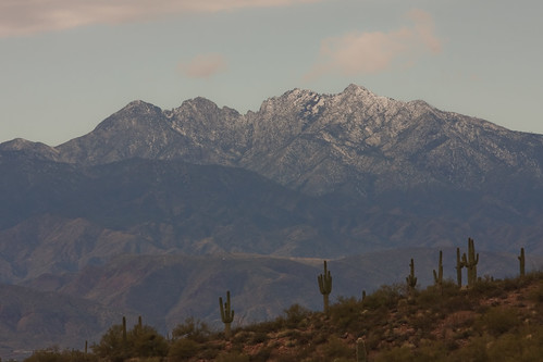 winter arizona cactus mountain snow 4 peak peaks saguaro 4peaks brownspeak