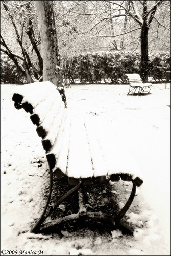 winter parco white snow cold ice nikon neve inverno bianco freddo nevicata benk forlì panchina giardinipubblici d80 primasupercontest monicamongelli