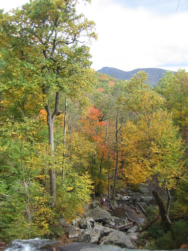 fall nature virginia hiking foliage shenandoah appalachians shenandoahnationalpark whiteoakfalls