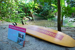 Eden Project surf board