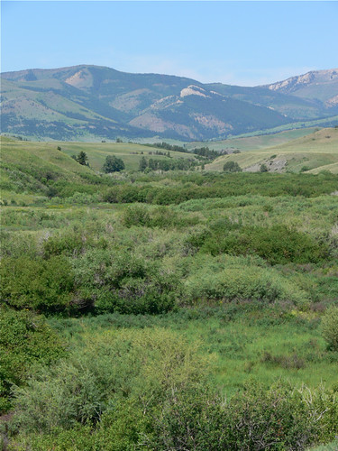 vacation landscape montana fz30