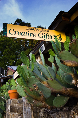 cactus store texas pricklypear giftshop wimberley nikond40 creativegifts