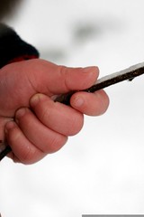 sequoia's hand holding an icy twig    MG 4112 
