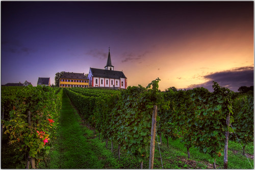 church sunrise germany vineyard scenery wine grapes jetlagged theminibarissucharipoff