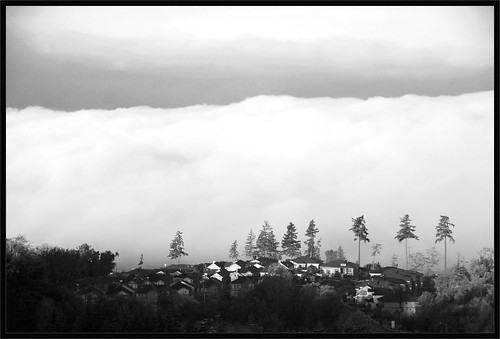 blackandwhite fog northwest gimp pugetsound mukilteo nikond200 18200mmvr