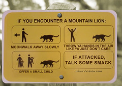 If you encounter a mountain lion
