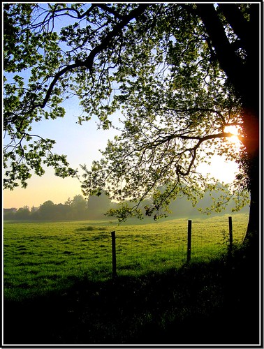 england mist rural sunrise norfolk dilham