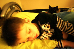 nick and cat asleep    MG 3847 